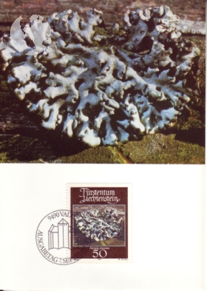 FL 0776 / 0779 MC ● - 1981